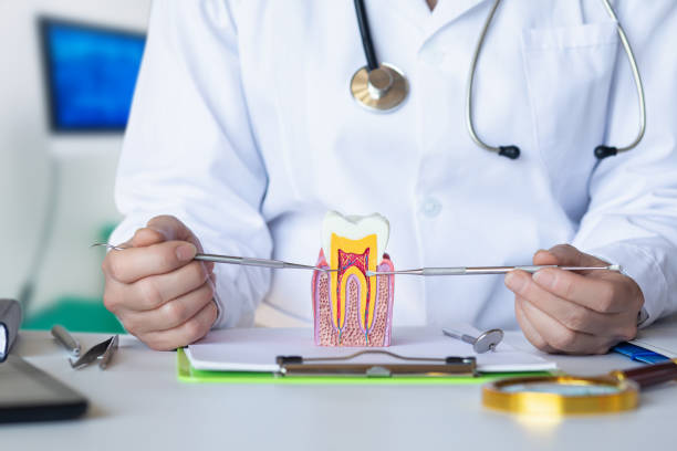 Best Weekend Emergency Dentist in Indian River, MI